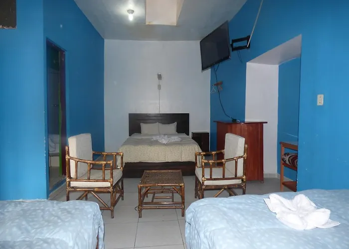 Auberge de jeunesse The Grassshopper Plaza De Armas Cusco